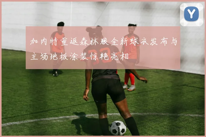 加内特重返森林狼全新球衣发布与主场地板涂装惊艳亮相